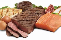 Protein Meat